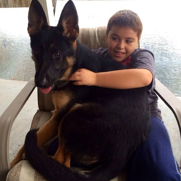 Meet your Posher, Henry david - Picture 1 of 1